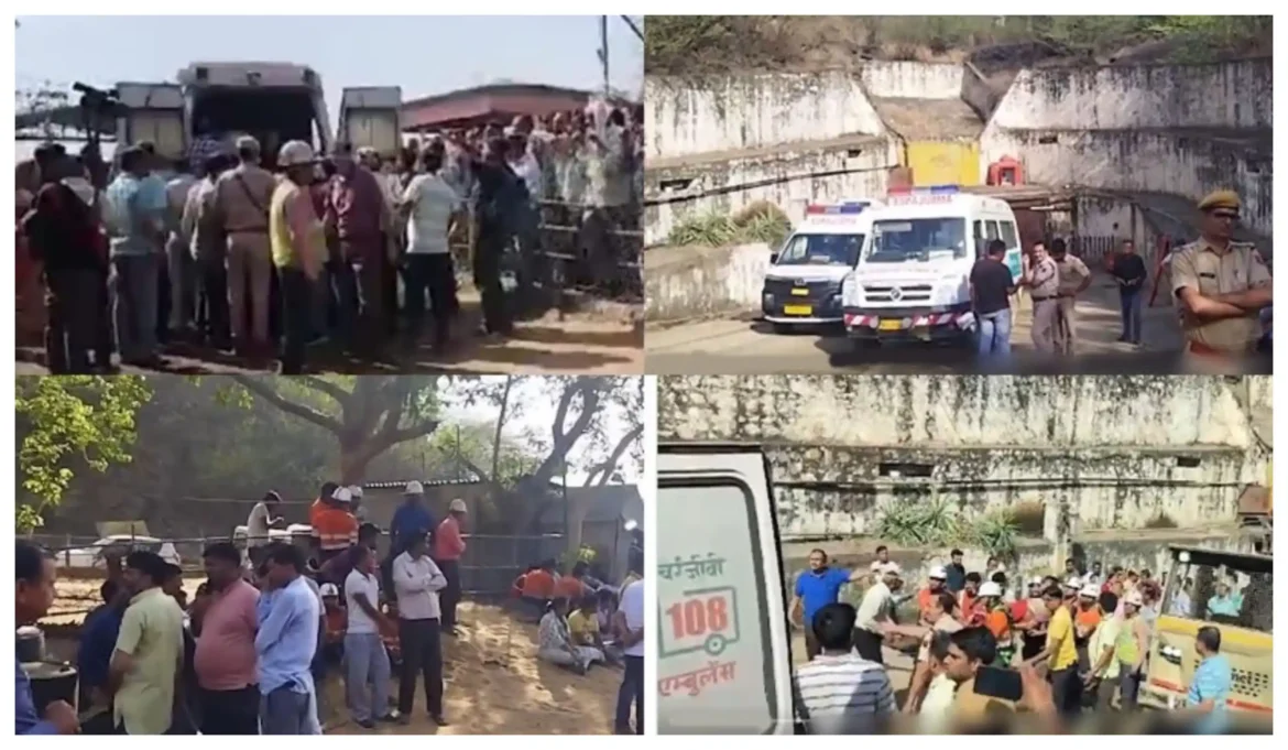 4-6-scaled Rajasthan News