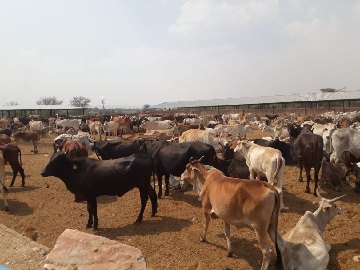 WhatsApp Image 2024-05-20 at 2.17.56 PM Rajasthan News