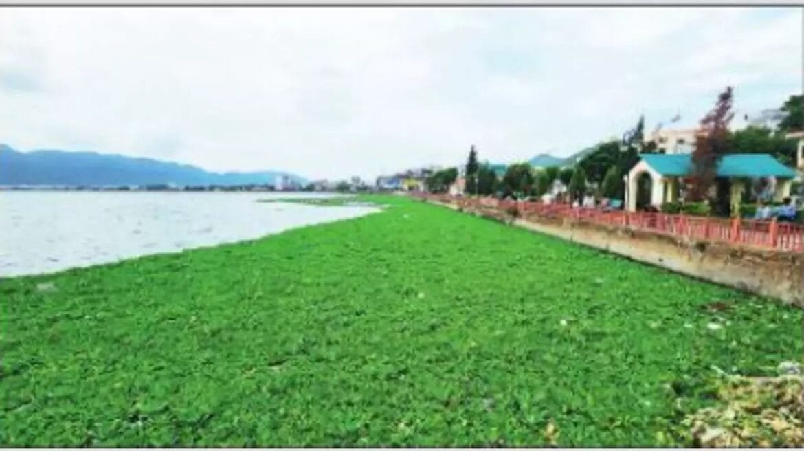 WhatsApp Image 2024-05-30 at 1.33.11 PM