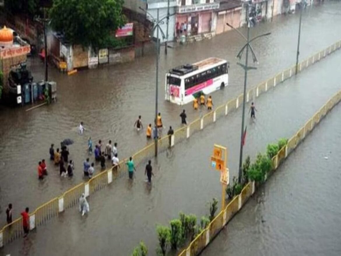 WhatsApp Image 2024-08-12 at 2.47.42 AM