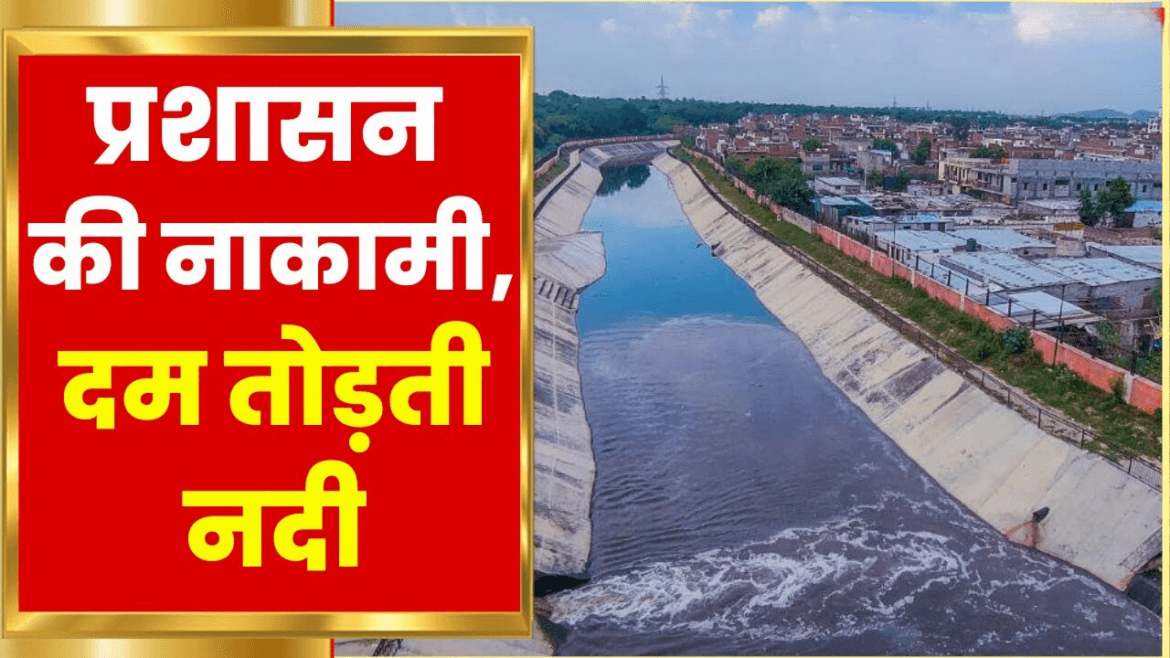 Untitled design (21)